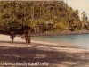 Haena Beach 1984.jpg