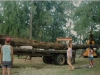 Koa Wood for Canoe pic 3.jpg