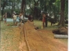 Master Canoe Carver pic 4.jpg