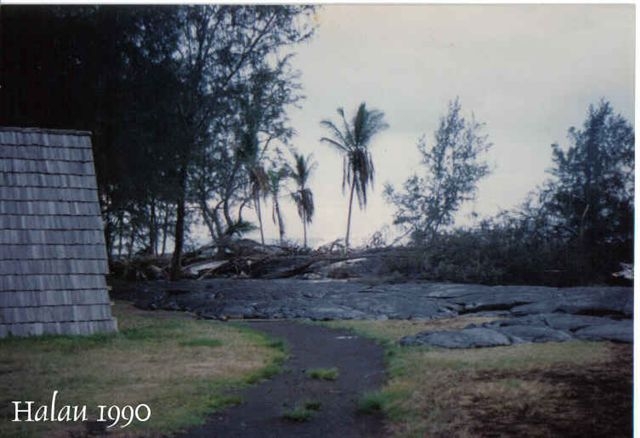 Halau 1990.jpg